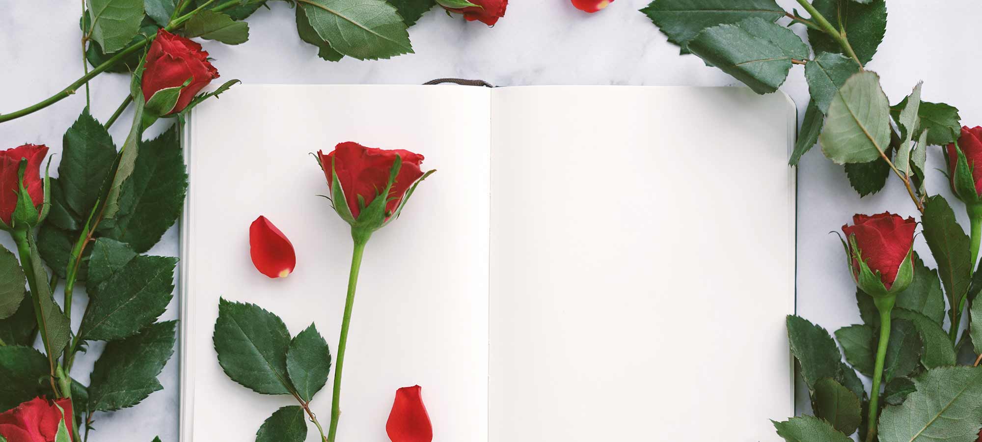 To love is to gain a new future