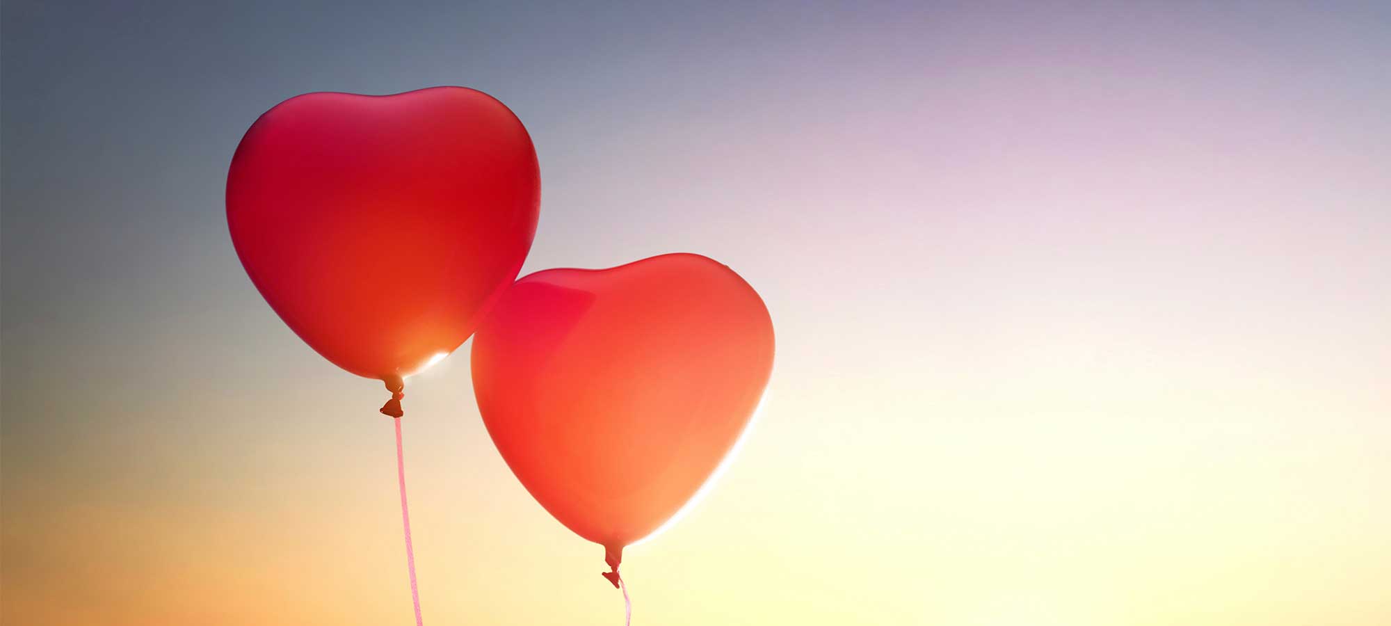 Love is fed day by day