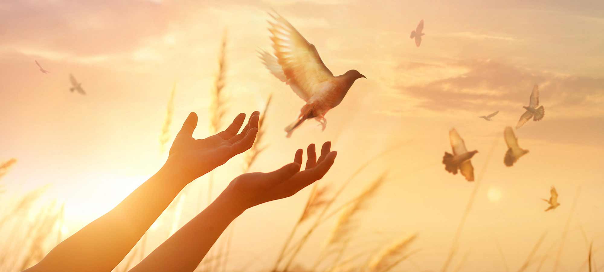 No fiscalizar ni condenar